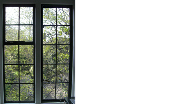 crittall-window