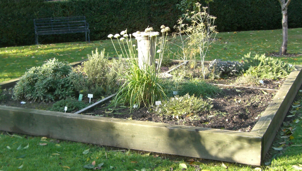 herb-bed