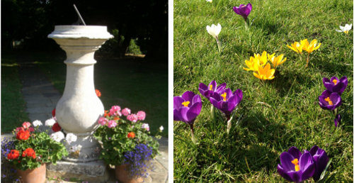 sundial-and-crocuses